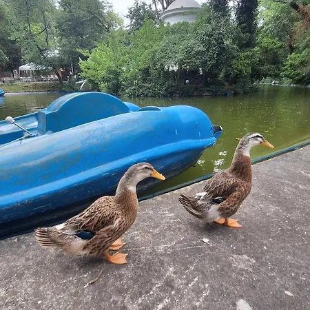 Location Harmony By Hostex アパート